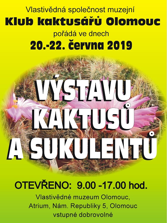 kaktus2019 750