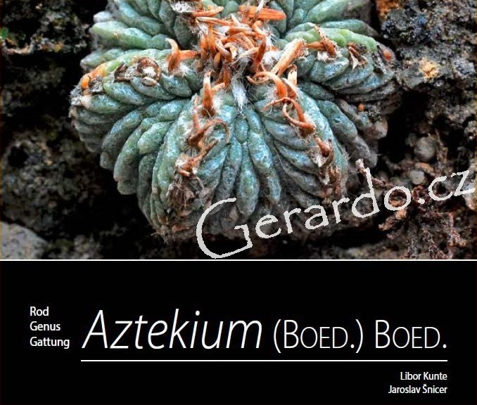 Aztekium1