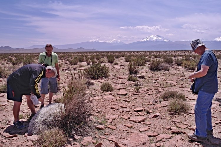 bolivie-a-chile-11-013