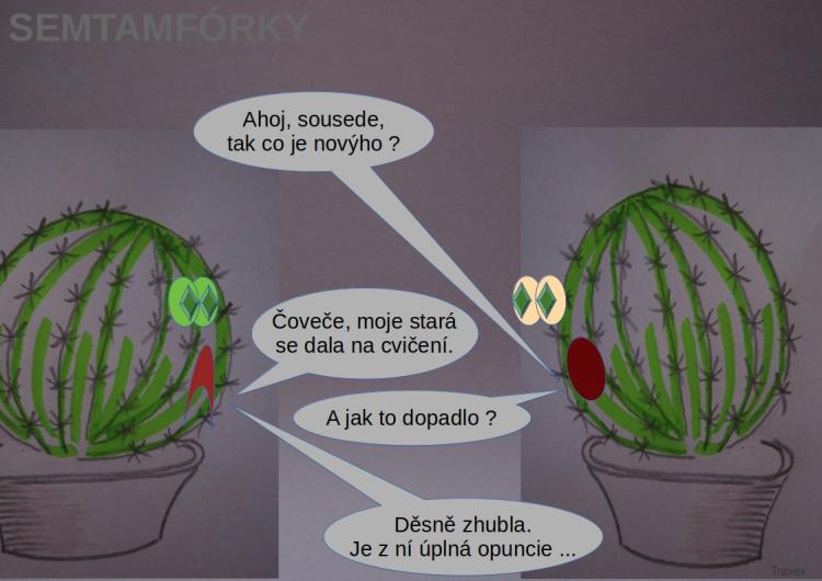 semtamfórky - leden 2024