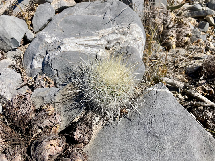 09 IMG 3019