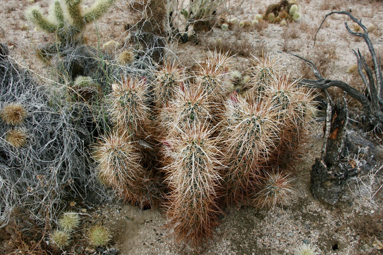 04