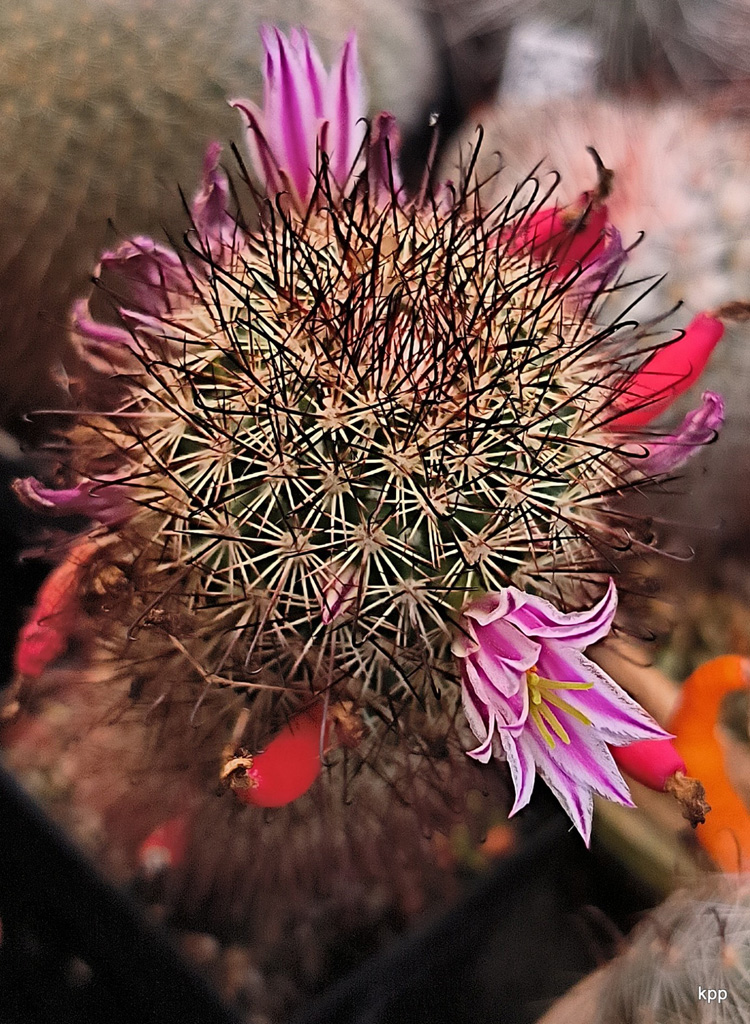 u03